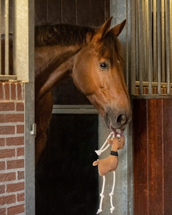 QHP Legetøj Til Hest / Rensdyret Rudolph - Vist med hest