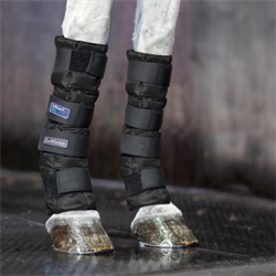 LeMieux Arctic Ice Boot - Kølegamacher /Sort