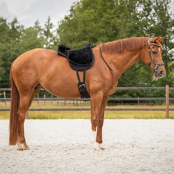 QHP Bareback pad Super Soft /Sort - Vist på hest