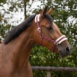 QHP Nylon Grime CALI Med syntet lam - Bordeaux- Vist på hest