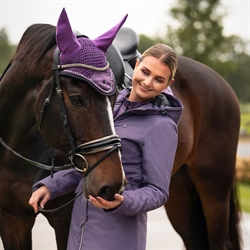 QHP Pandebånd Fayen Silver/Sort - Modelfoto hest og rytter