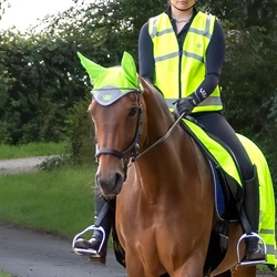 Woof Wear Hi VIs Hut med refleks /Gul