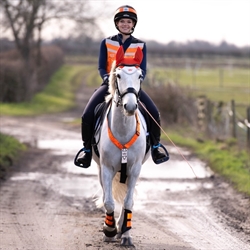 Woof Wear Hi VIs Bringerefleks /Orange - Modelfoto Hest og rytter